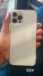 iPhone 12 pro max