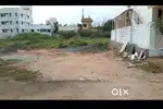 Xavier colony