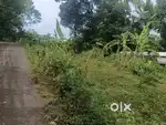 10 cent land for sale