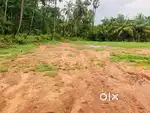 Kairali eco village nalepilly