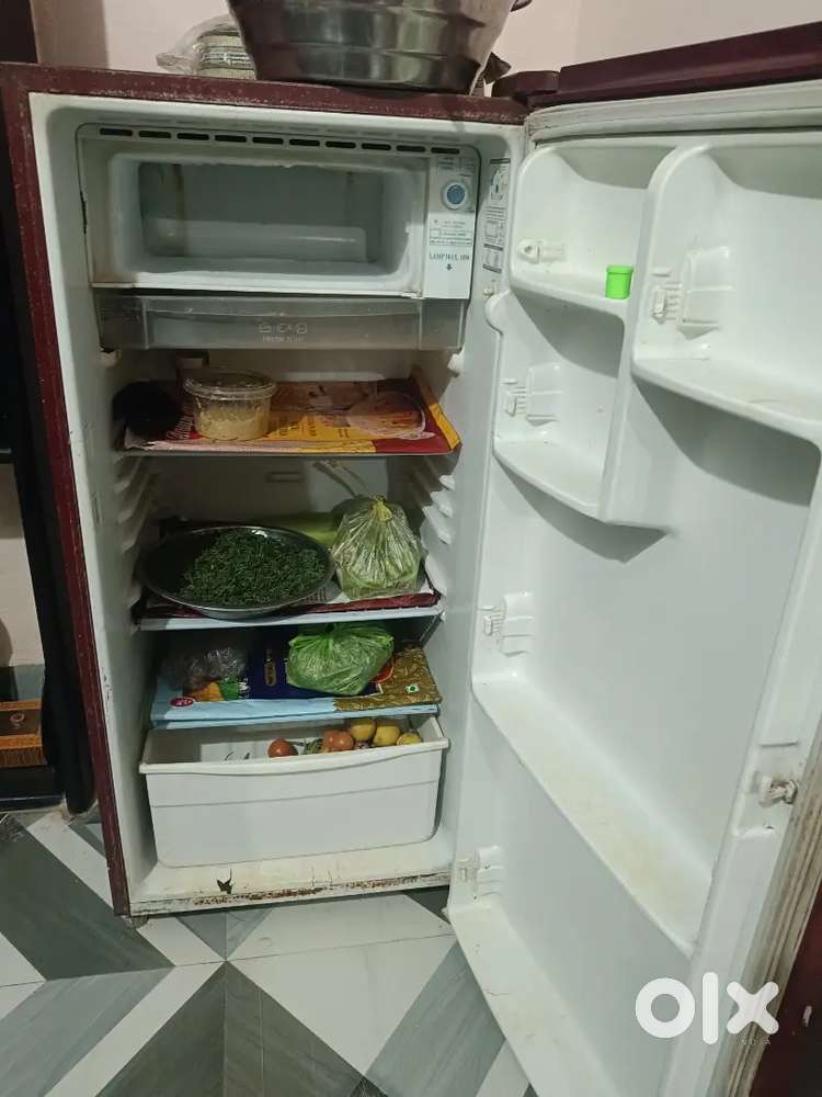 OLG freje good condition