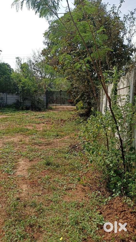 Opposite to Tamarind Tree Farm house