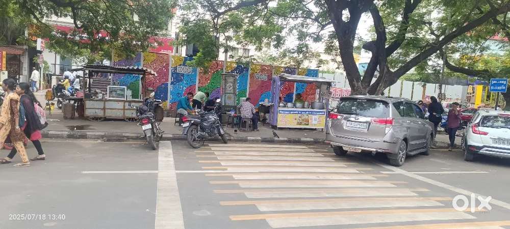 Govt Butterfly Shop road side at anna nagar