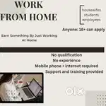 Work from home opportunity