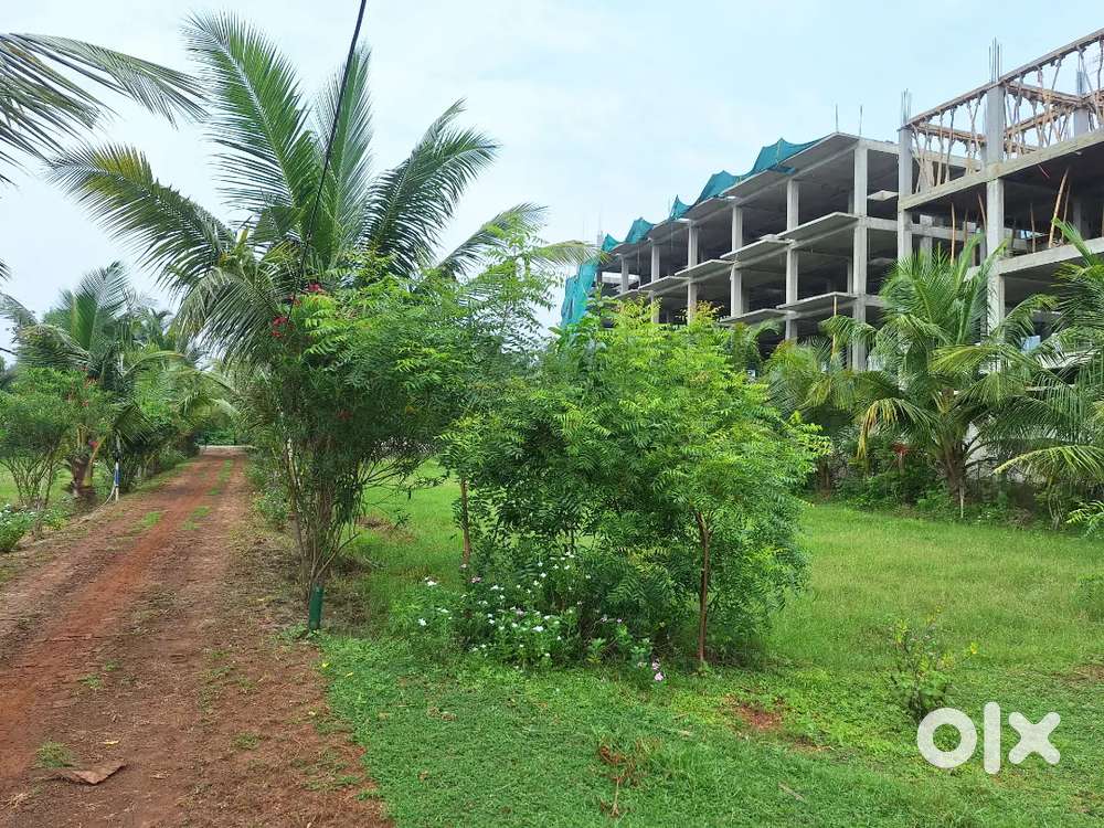 PLOTS IN TAJPUR NEAR SEA BEACH