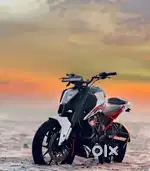 Duke 250 for sale