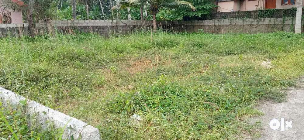 Square plot for sale muttada  kara bhoomi