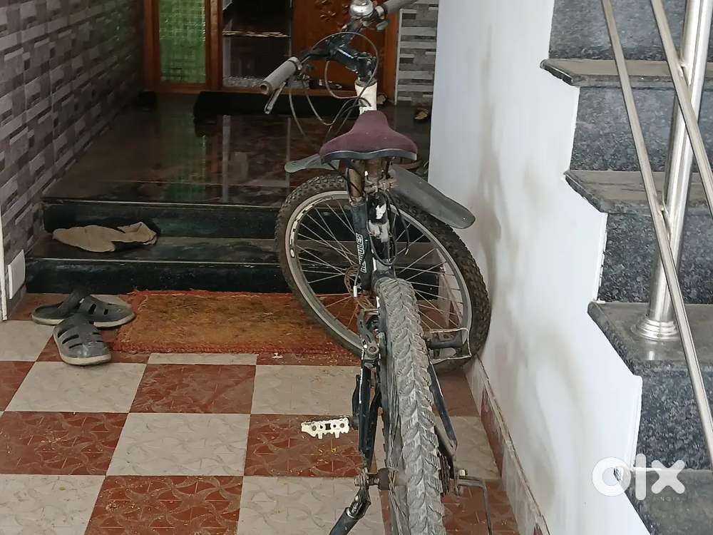 Hercules, bycycle for long drive a perfect cycle