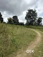 Chikkamgaluru, 10 km from Chikkamgaluru city - Land Area: 12 acres