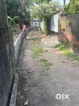 4.75 Cents of land near to NH 47 in Palluruthy