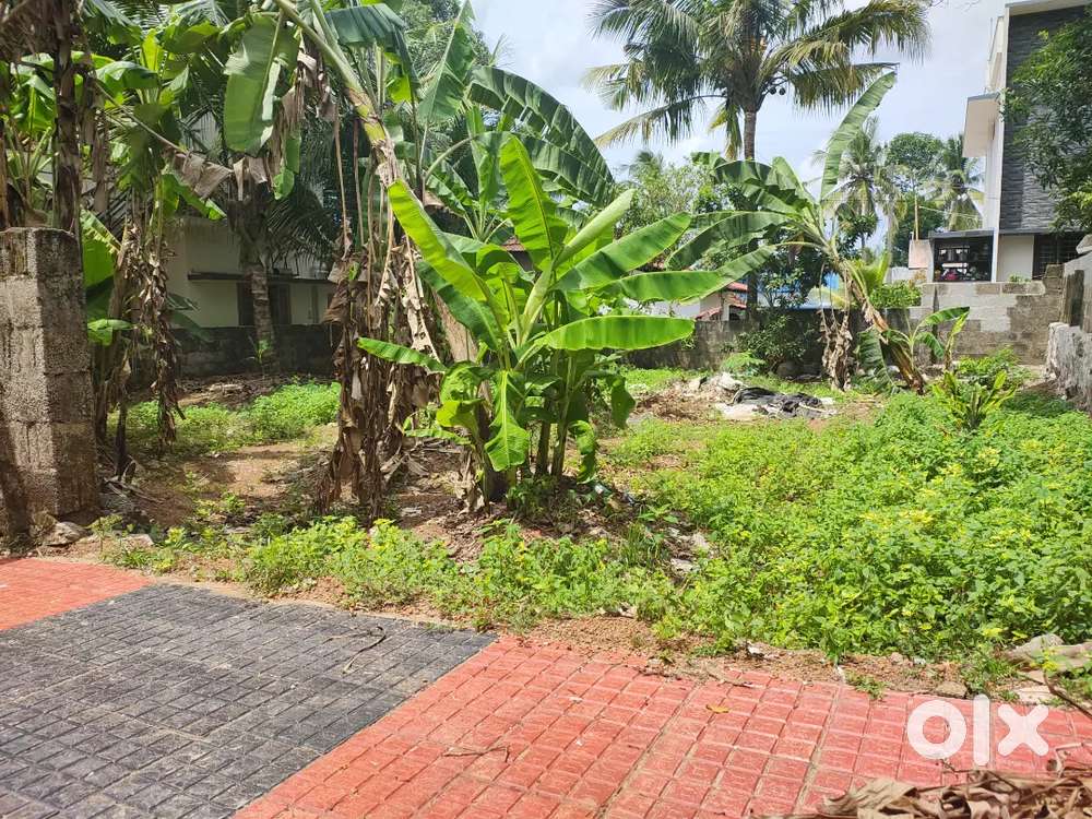 5 CENT HOUSE FLOT FOR SALE @ VATTIYOORKAVU, MANNAMMOOLA