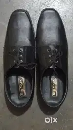 Formal Branded Shoes