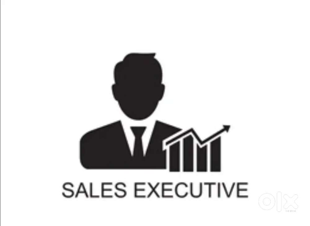 SALES EXECUTIVE