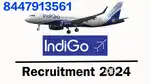 AIRPORT URGENT JOBS INDIGO AIRLINES GROUND STAFF & TICKET CHECKER