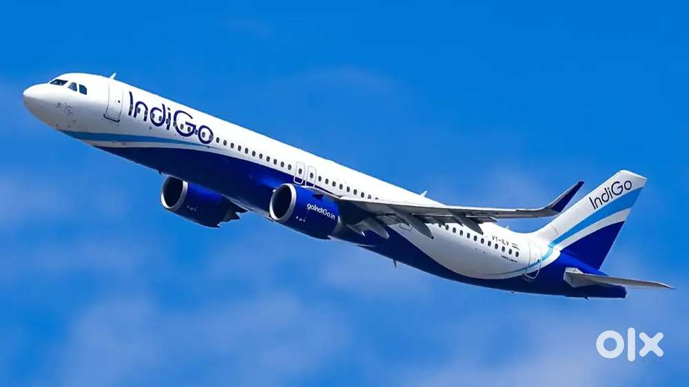 Urgent hiring for indigo airlines apply fast