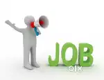 HIGHEST PAYING JOB