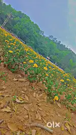 15 சென்ட் காலி இடம் விற்பனைக்கு