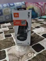 JBL Flip 6