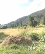 2.5 Kanal Land For Sale In Bir लाहड़ Village Near By Sukoon Bag