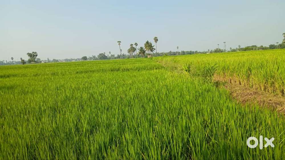 Agriculture Land for sale