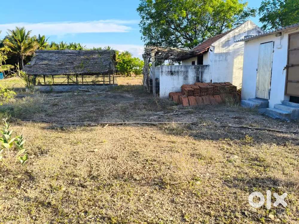 Poultry farm with home facility for Rent