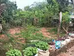 12 cent plot for sale