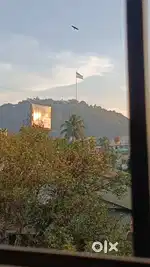 Panjabari, juripar