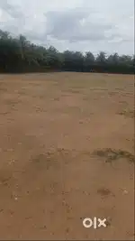 21 சென்ட் விற்பனைக்கு.(1 சென்ட் -1,00,000)