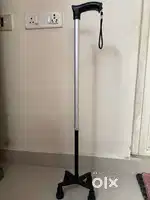 Walking stick