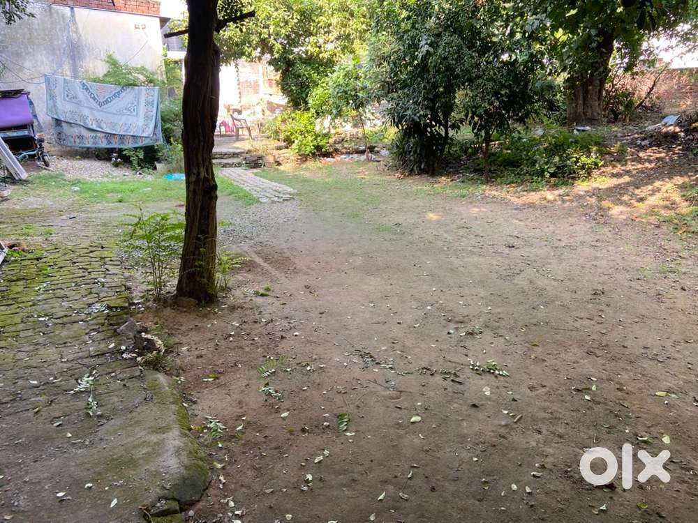 9 Marla plot for sale in Subash Nagar, Digiana (5L / Marla) (Gali 5ft)