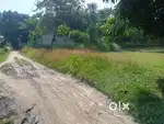 Land for sale 45 per bigha