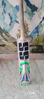 800 rupees kashmir willow original Bat