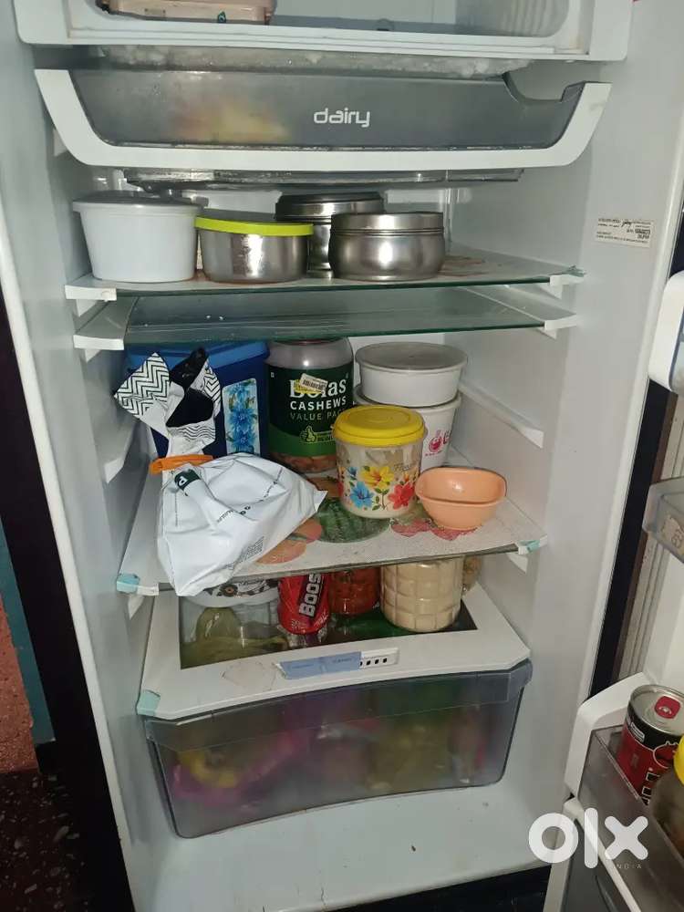 Fridge with stand