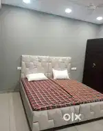 Difter dream's pg in sec 38 42 48 in gurgaon