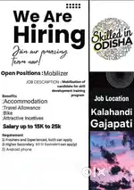 Mobilizer(marketing)