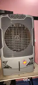 Medium size coolar