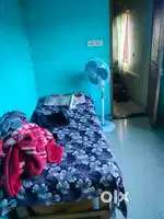 Need roommate