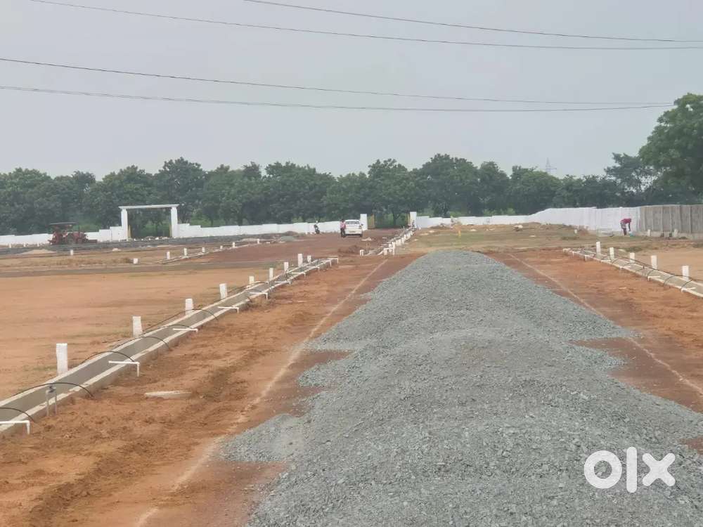 Low budget open plots in Tirupati