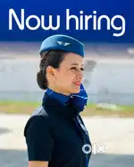 Jobs in Indigo airlines apply fast