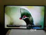 Orginal Lg 60 inch led tv (pls read the add)