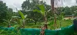 for sale house plot