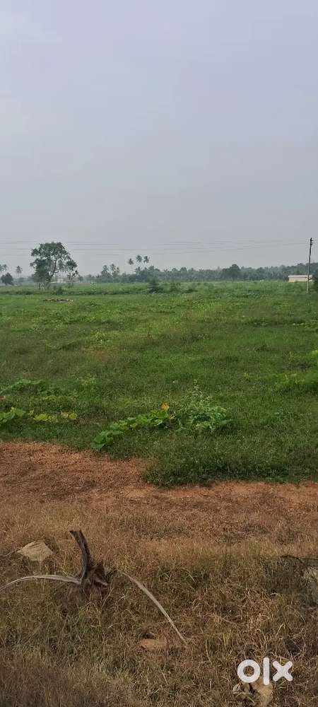 Agricultural land for sale