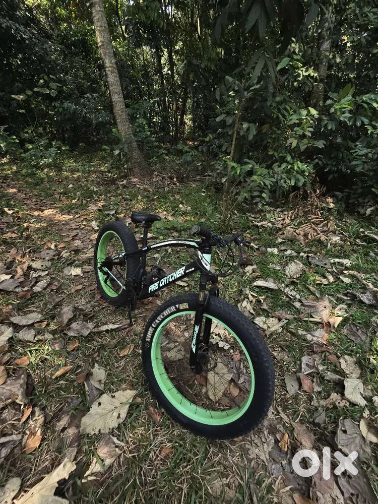 Fatbike cycle