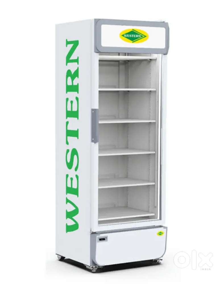V cooler fridge