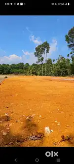 PALA NEAR NELLIYANI 34 CENT LEVEL PLOT