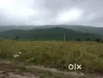 3 per khatta
