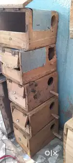 Iron cage and wood boxcage