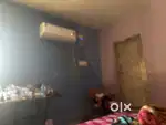 Need room mate