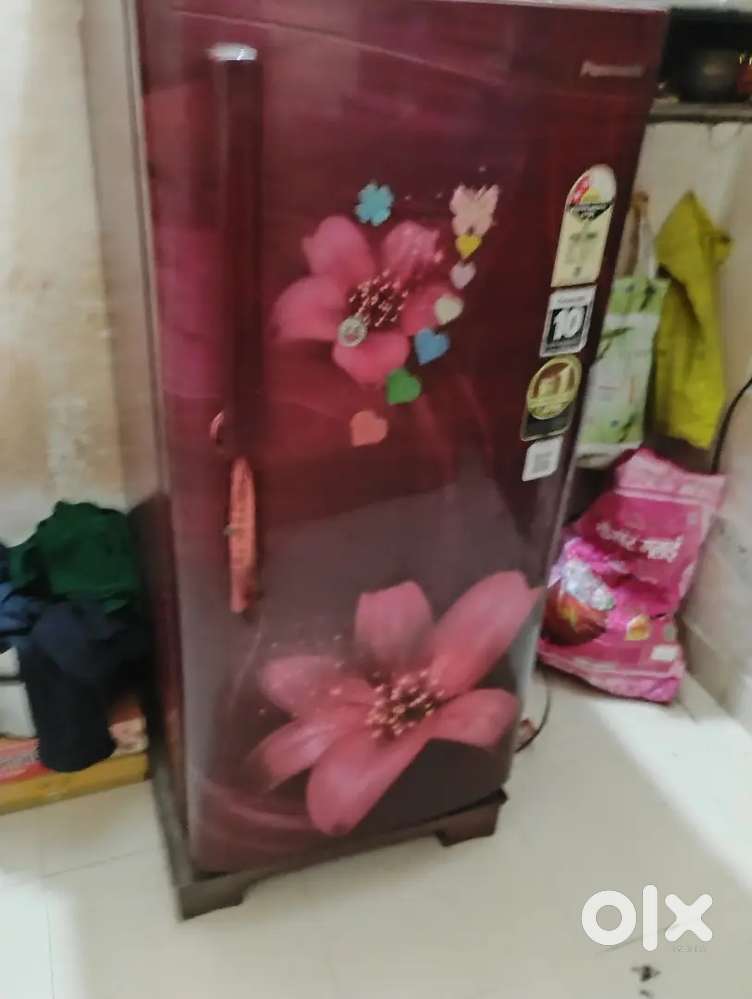 New sondisson 1 year