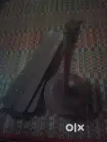 ceiling fan,500